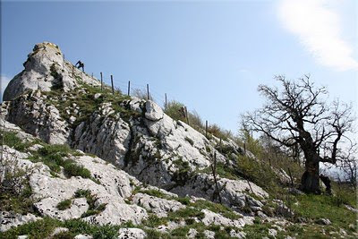 Cima navarra de Legunbe