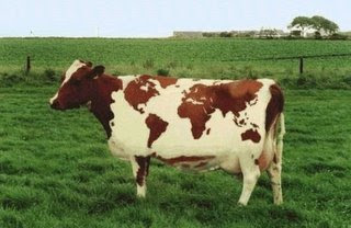 World Map In Cow Body Amazing pic