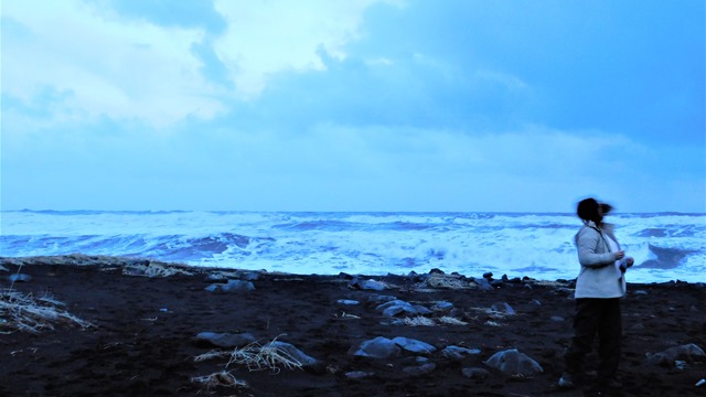 Windy Black Beach at Vik Iceland 
