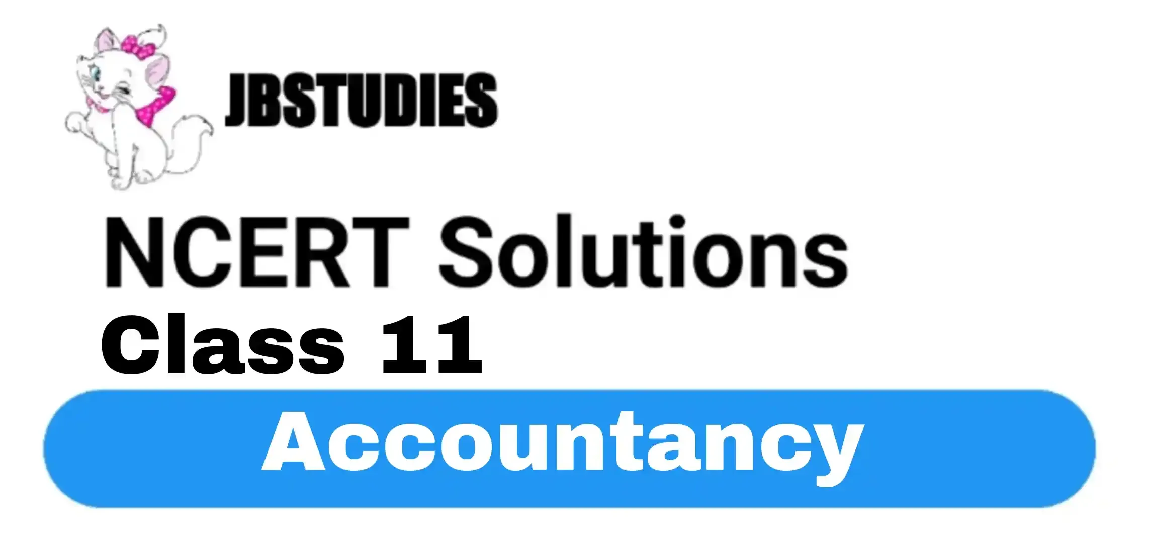 NCERT Solutions Class 11 Accountancy