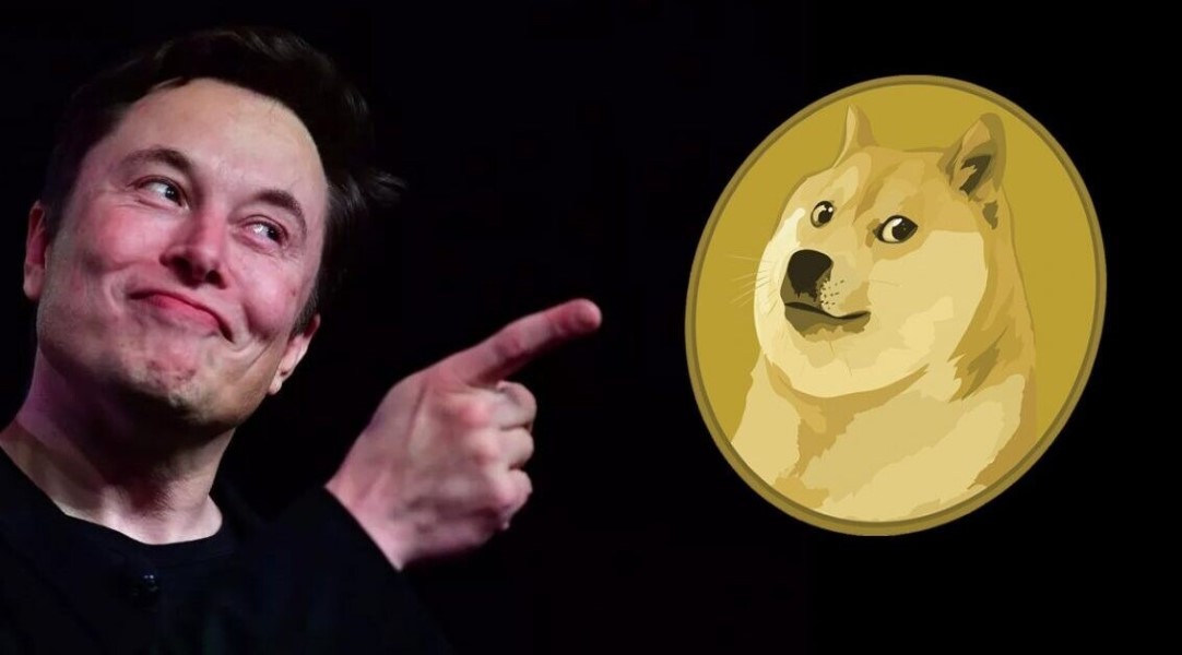 elon musk dogecoin