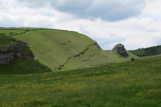 A view across a buttercup meadow to the steep side of the Dale and Peter's Stone.