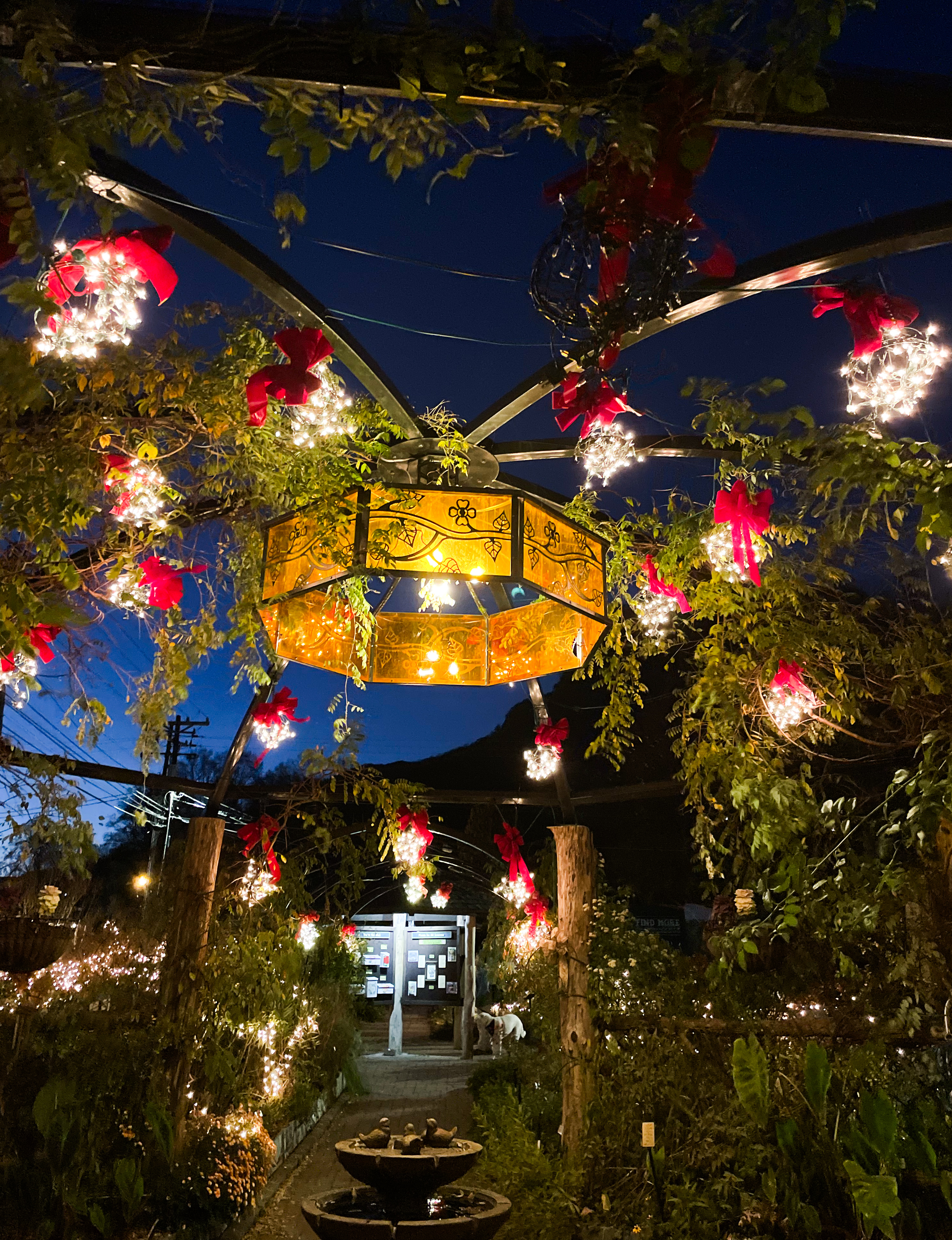 Atrium at the Flowering Bridge, NC