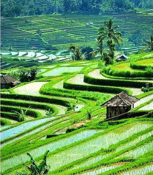 Kumpulan Gambar Pemandangan Terindah Di Dunia Pemandangan Alam Gunung Danau Pohon Paling