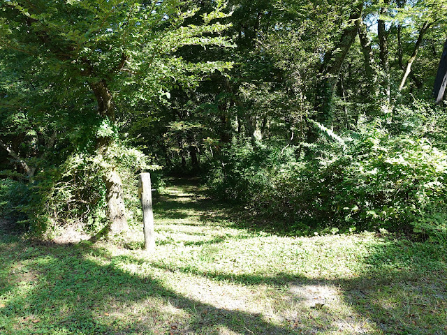 鳥取県道158号大山口停車場大山線の大山古道入り口