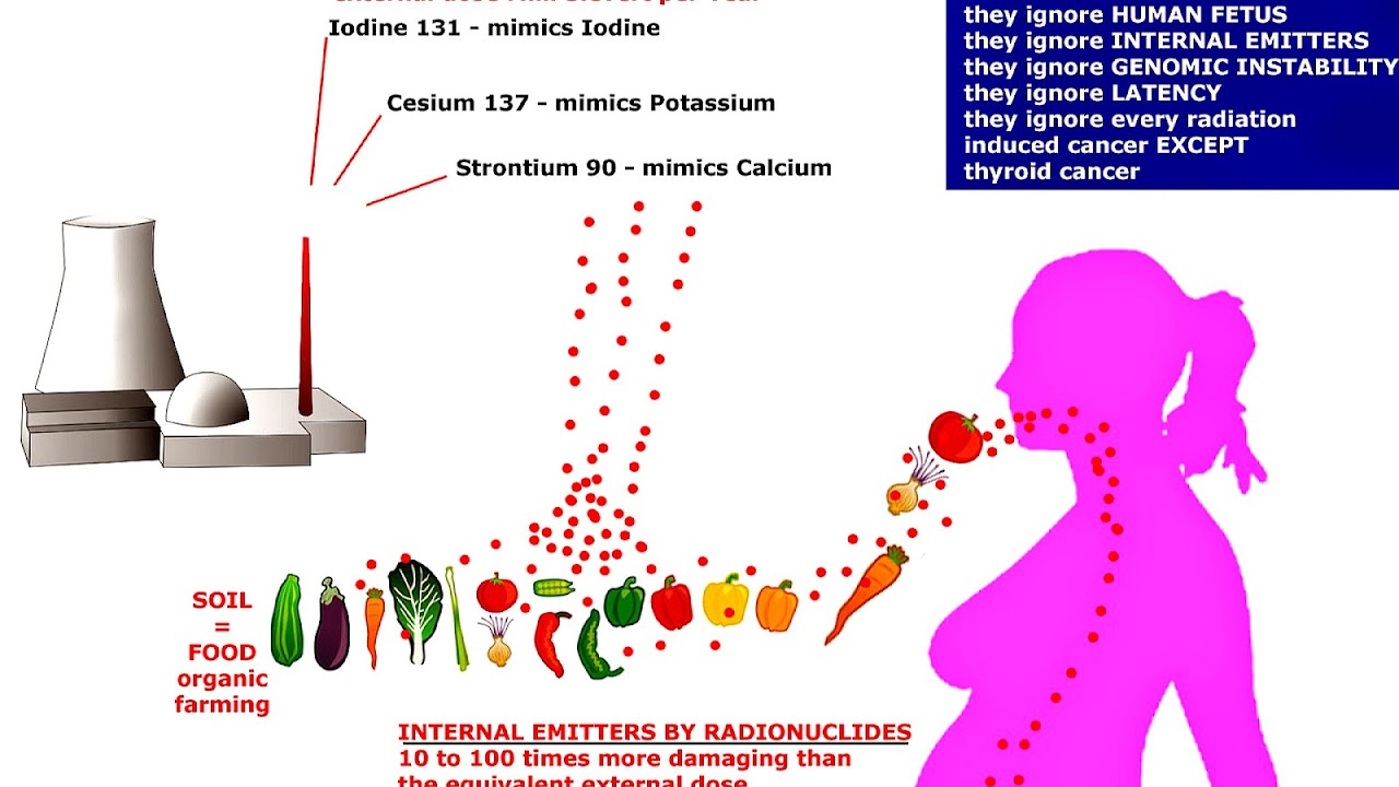 Effects of nuclear explosions on human health