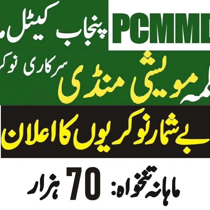 Punjab Cattle Market Management and Development Company PCMMDC Jobs 2024