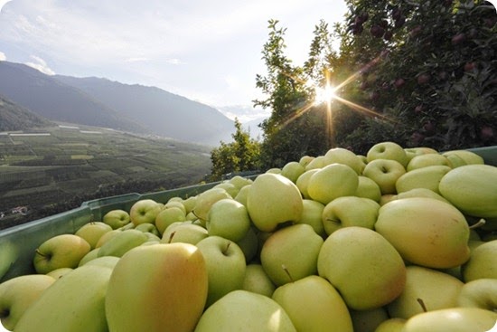 c._apple3_620x414