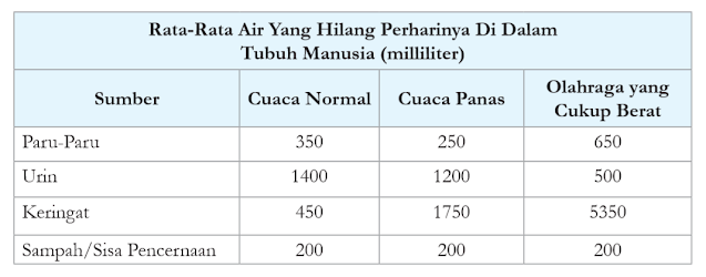 Tabel Air Yang Hilang Perharinya Di Dalam Tubuh Manusia