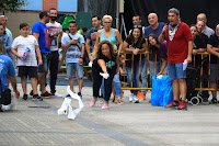 Campeonato de Lanzamiento de Papel Higiénico