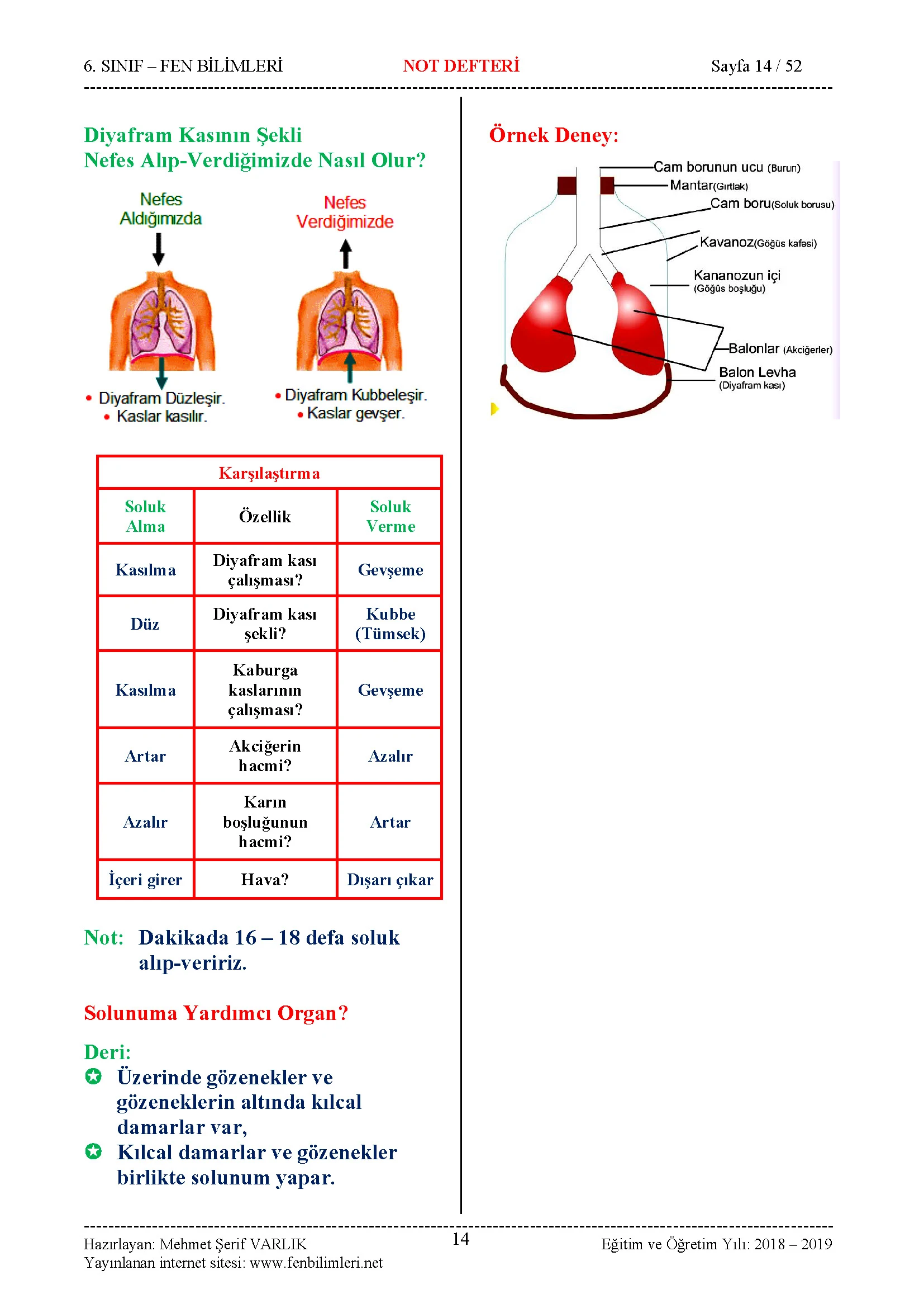 Fen Bilimleri 6.Sınıf Özet Ders Notu, Konu Anlatımı Pdf