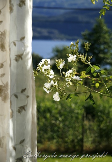 _MG_5098 til blogg
