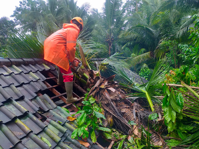 Pohon Tumbang Rusak Atap Dapur Warga Di Desa Selumbung