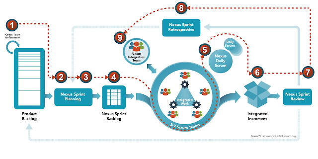 Nexus Scaled Agile Framework