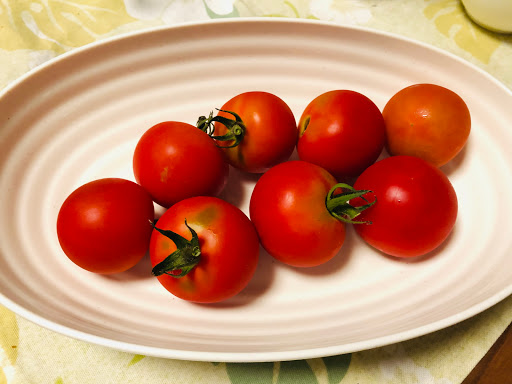ダイソー 中玉トマトの育て方 プランター栽培