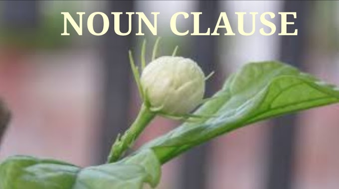 Noun Clauses Uncomplicated: Quick Searchable Examples for Clear Understanding