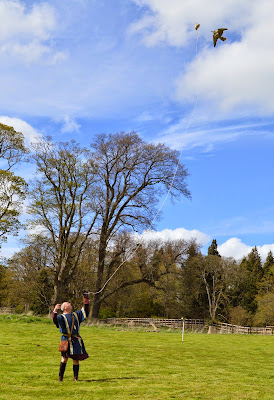 Roman Falconry on Hadrians Wall