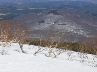 黒森を見下ろす。