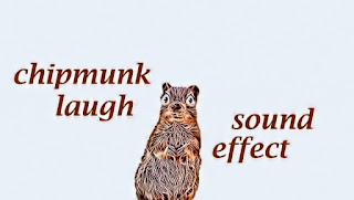 animal sounds