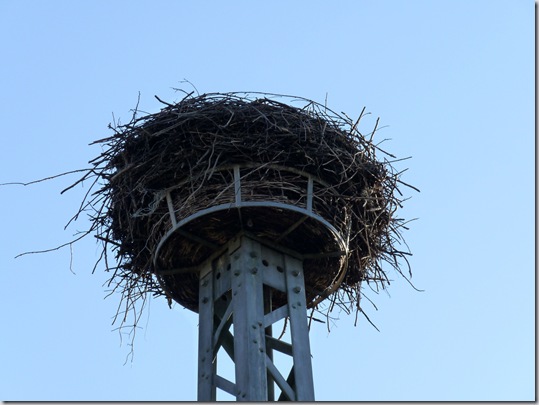 Sonntagsausflug Januar (13)