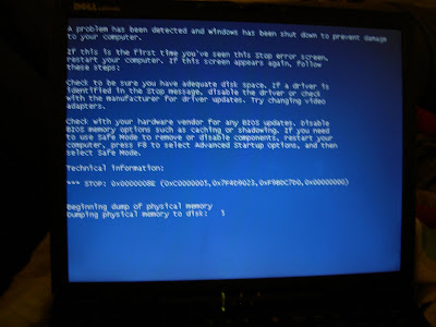 Dell blue screen dumping memory