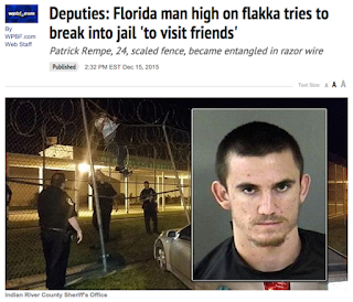 Image and headline of Florida Man breaking into prison on drugs