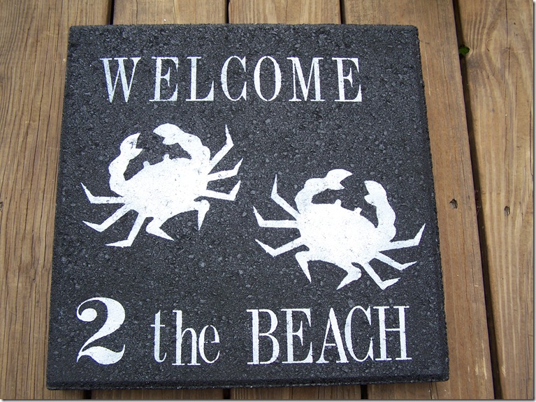 Crab Stepping Stone 017