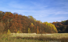 http://fotobabij.blogspot.com/2015/11/roztocze-buczyny.html