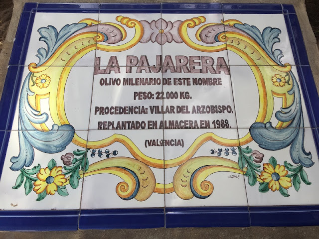 Placa conmemorativa de la procedencia del olivo milenario