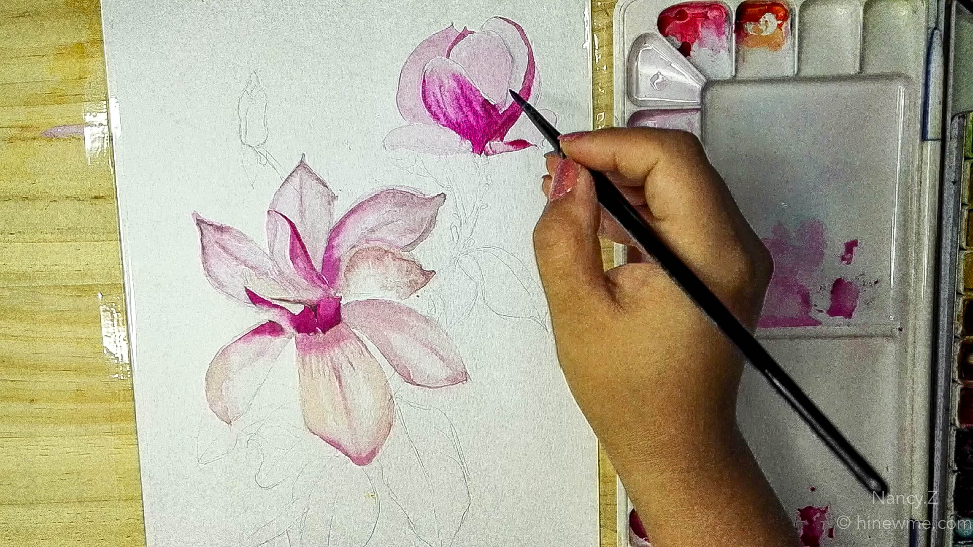 How to draw watercolor magnolia flowers step by step tutorial, come to see my online class