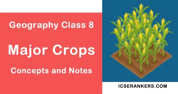 Major Crops- Geography Guide for Class 8