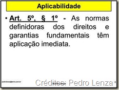 Aplicabilidade dos Direitos Fundamentais