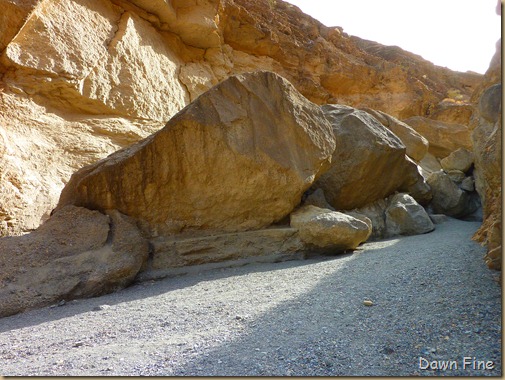 mosaic canyon_092