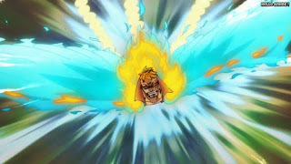 ワンピースアニメ 1023話 不死鳥マルコ かっこいい Marco the Phoenix | ONE PIECE Episode 1023