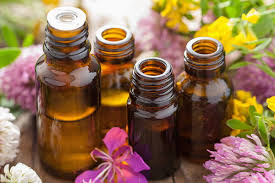 ¿Quieres comprar dōTERRA?