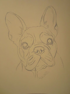 dessin de bouledogue