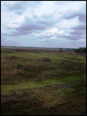 Paynes Prairie 1st 2 days 033