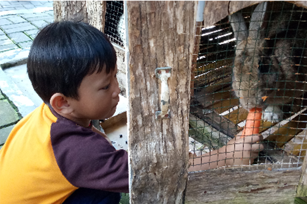 Manfaat Memiliki Hewan  Peliharaan  di Rumah  Untuk si Kecil  