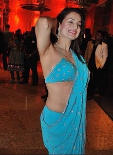 Hot Amisha Patel in Hot Light Blue Saree