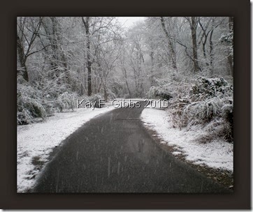Images 2012 928