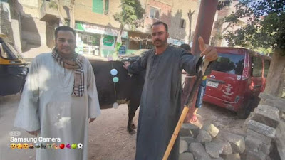 قرية زهرة  بالمنيا  تطلق مبادرة " خلى الفقير يأكل " لتخفيض سعر اللحمة لـ  250  جنية