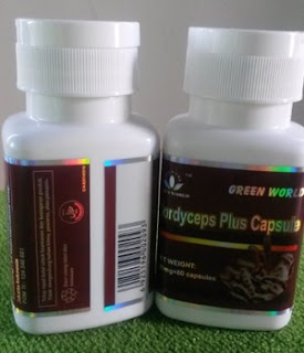 Jual Suplemen Herbal Untuk Perokok "Cordyceps Plus Capsule Green World"
