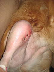 Incision
