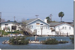 South Padre Island 051
