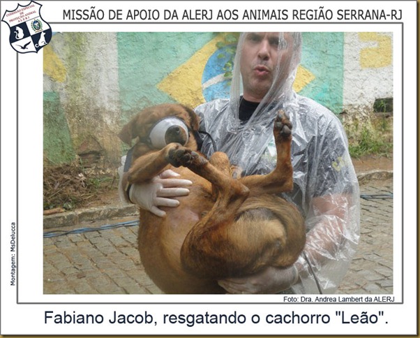 alerj46