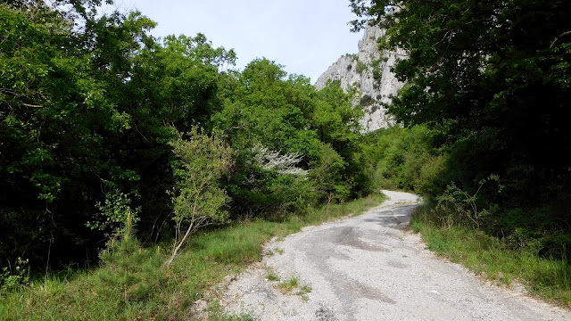 Via Irati en Ziordia Arbara Este