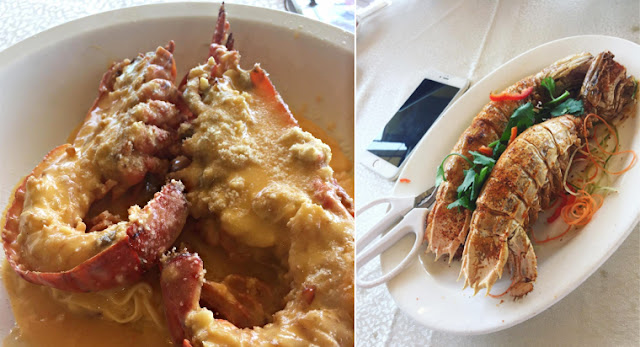 Top 8 Well-Loved Food Places in Hong Kong by Locals & Celebrities 