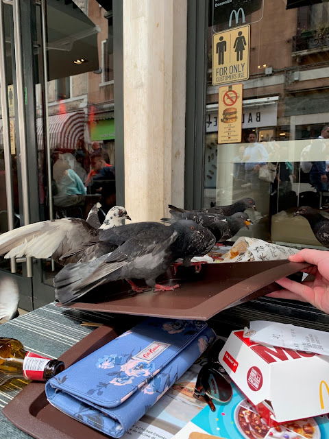 pigeons on tray at McDonald's Venice