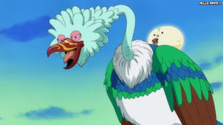 ワンピースアニメ 506話 トリノ王国 | ONE PIECE Episode 506