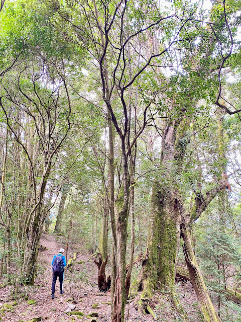 下往登山口